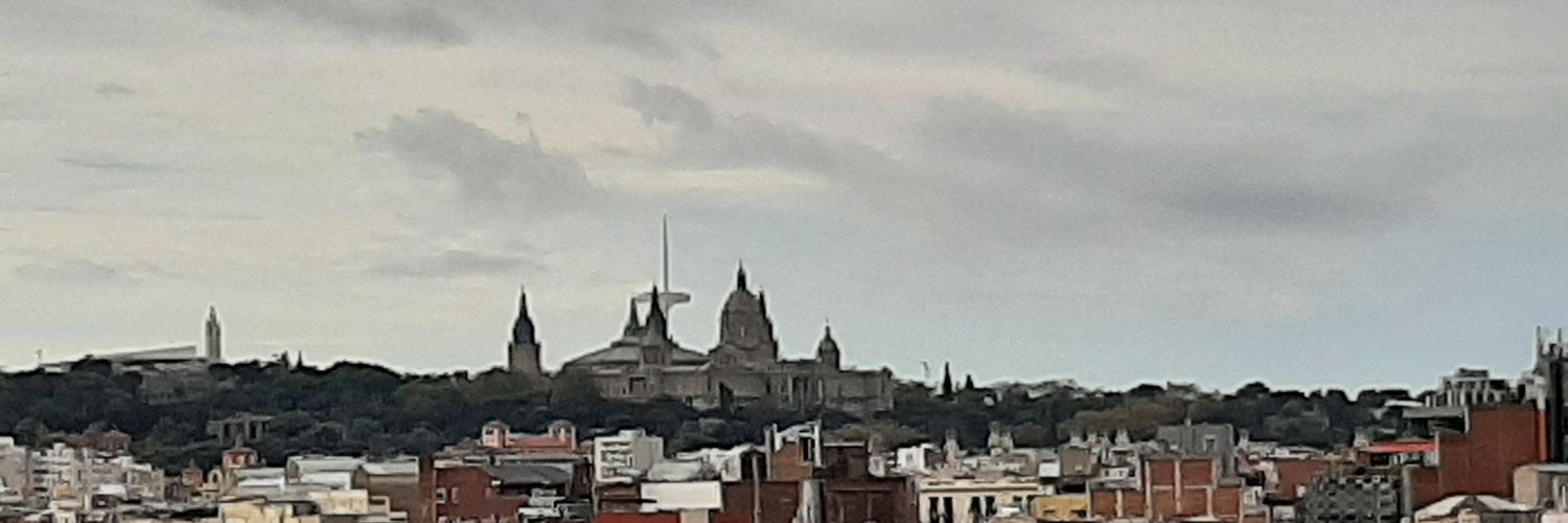 La Cotorra Patriota banner