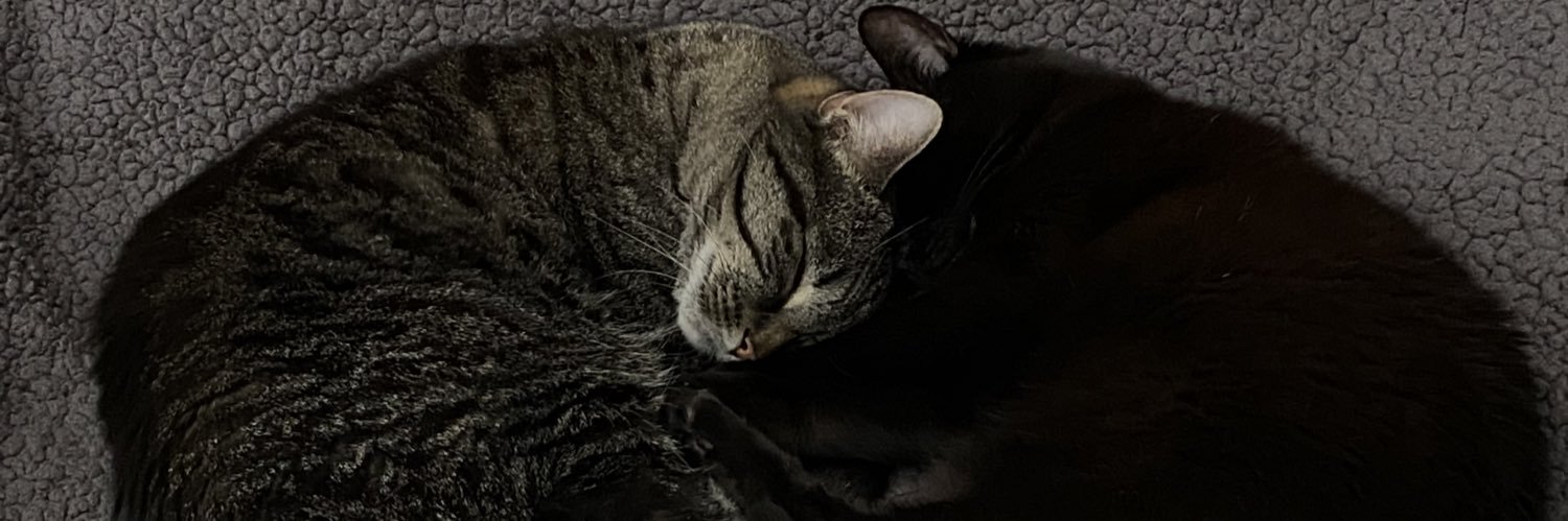 Farra Trompeter 🏳️‍🌈🦄 banner