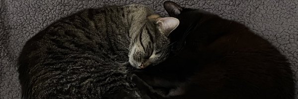 farra Profile Banner