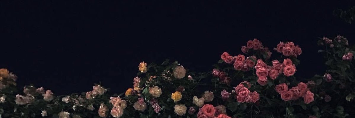 𝝅 banner