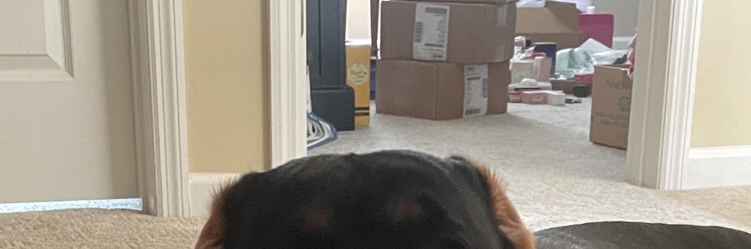 shanon1220's profile banner image