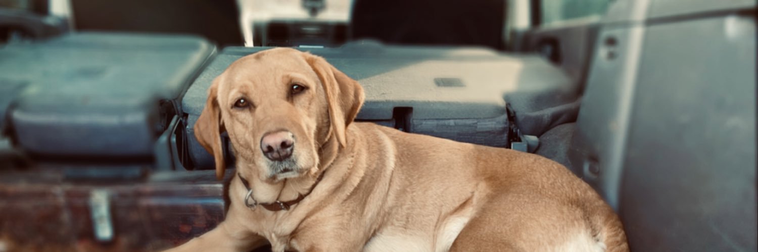 Eleanor Durdy banner