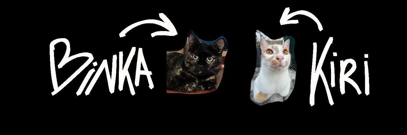ilovkatz's profile banner image