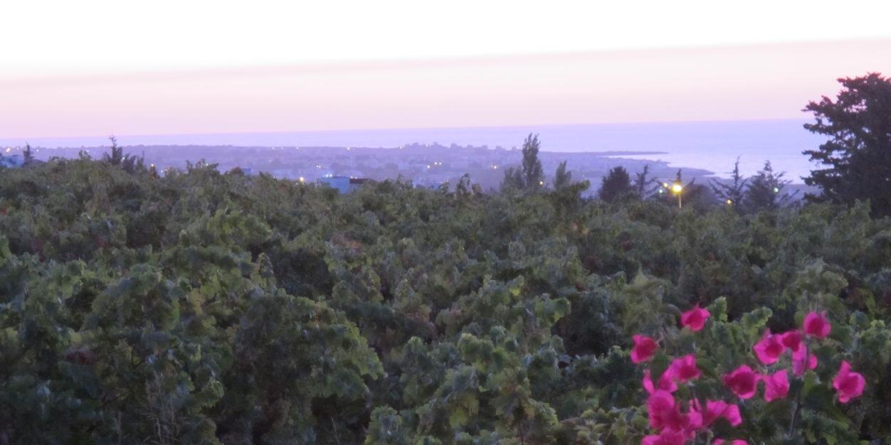 remorh9's profile banner image