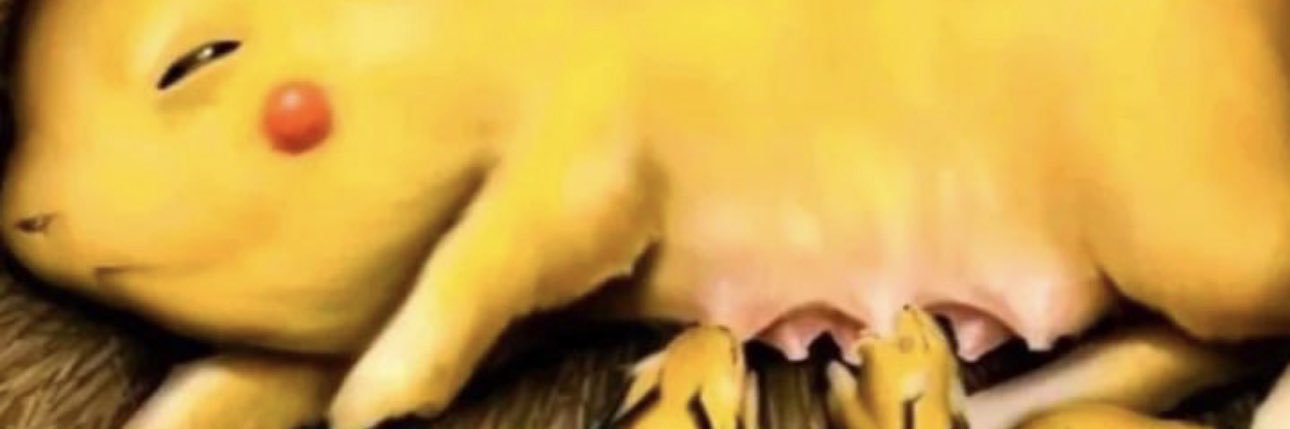 TaquacheGuy's profile banner image