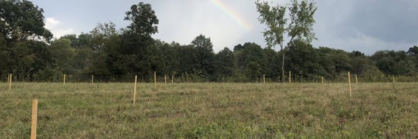 dfsavage Profile Banner