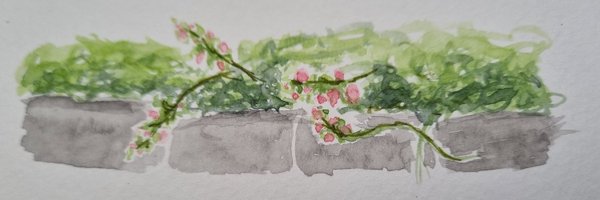 rabbitholer Profile Banner