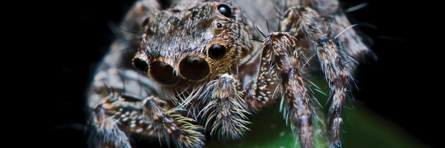 James O'Hanlon banner