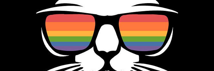 ࿋With fear for our Democracy, I dissent. #RBG banner