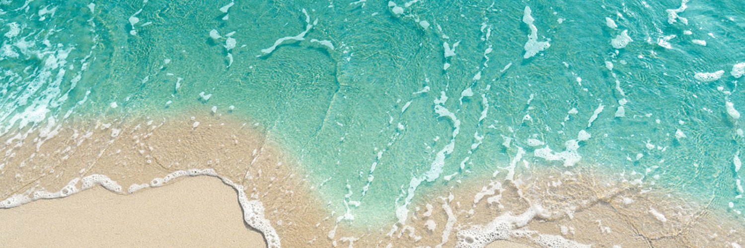 ClaudiaKrypto banner