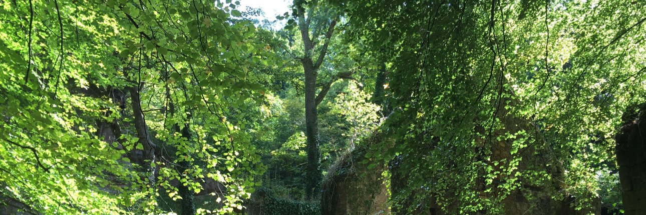 Ailsa Bathgate banner