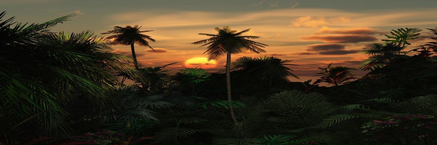 Aknook's profile banner image