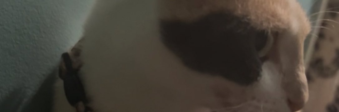 TheIrishAce2's profile banner image