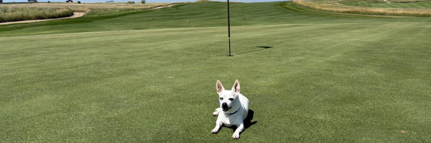 Gustavo Rodriguez, CGCS banner