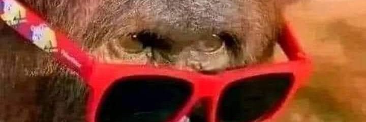 WHOISS2's profile banner image