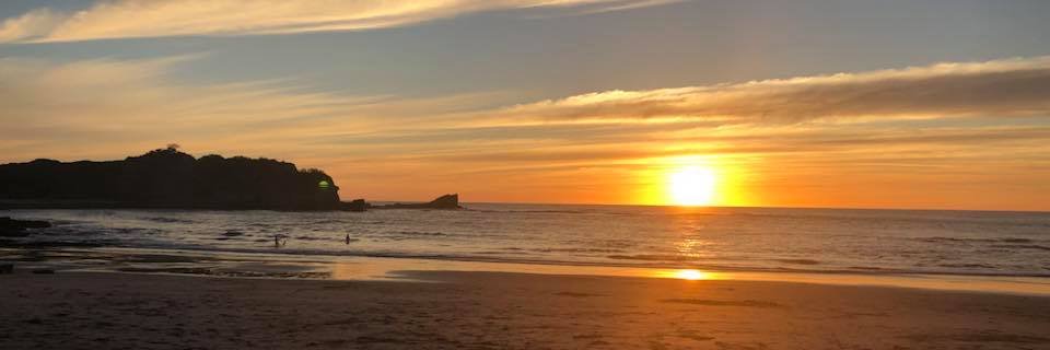 Meredith Rucker banner