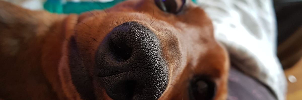 __hannahbennett's profile banner image