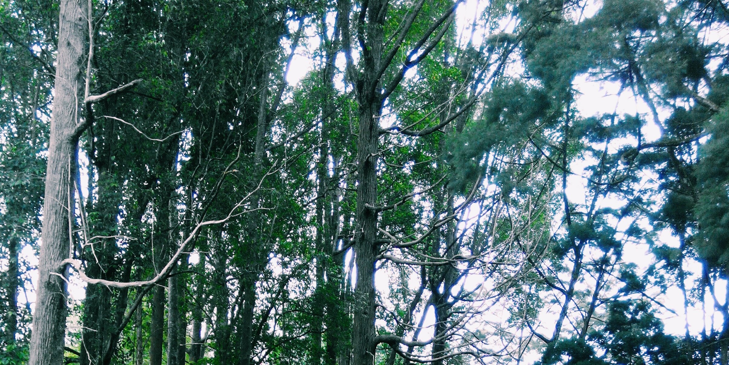 zyqaaaaaaaa's profile banner image