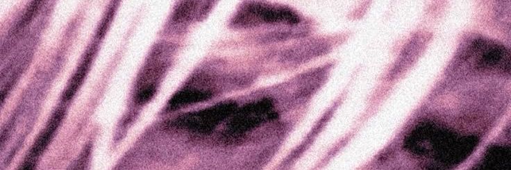 شيري banner