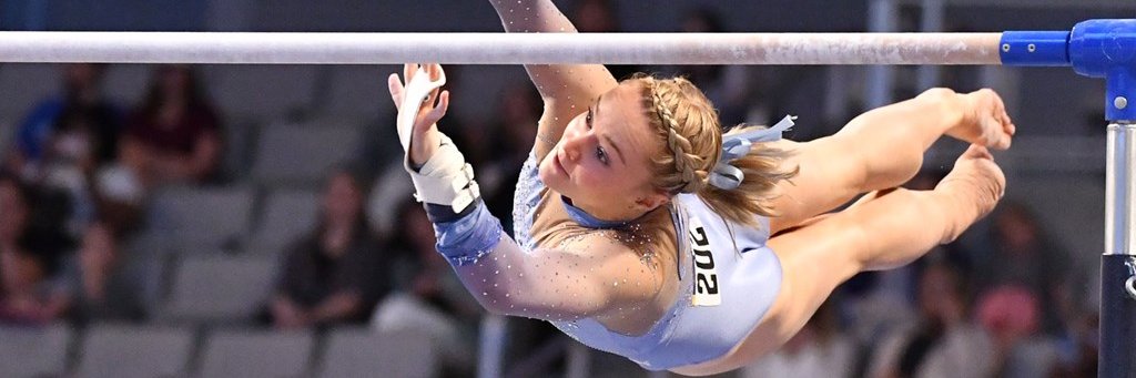 RileysStickers's profile banner image