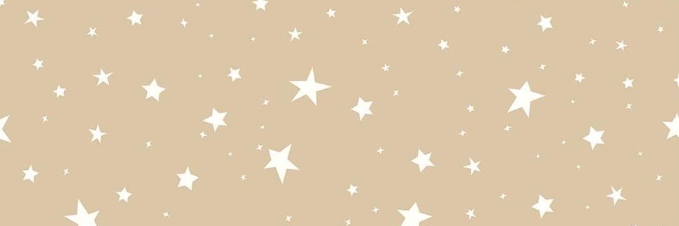 ribettaw's profile banner image