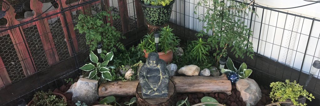 HippyChikky's profile banner image