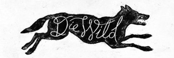 kittenfc Profile Banner