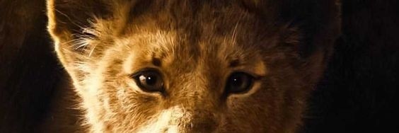 Leo16MSD's profile banner image