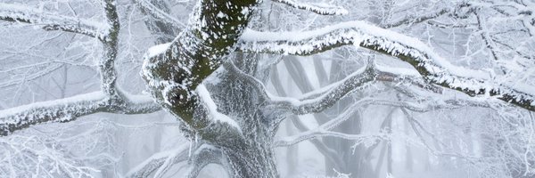 MarkusStockPho1 Profile Banner