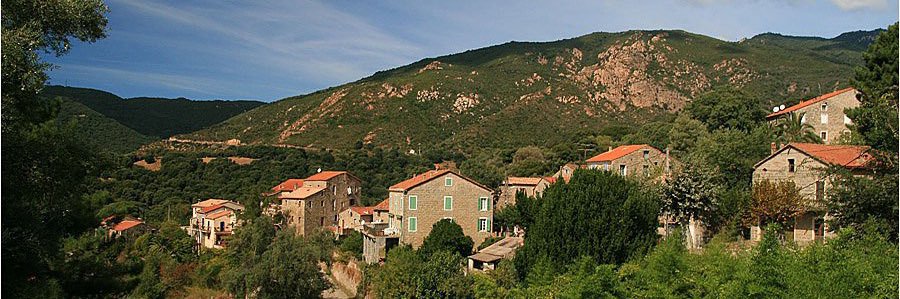 Colonna Yohan banner