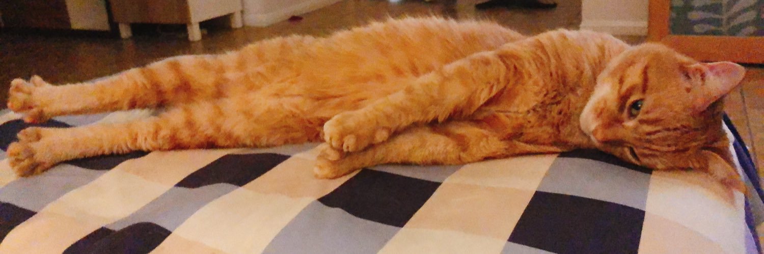 ginger_bobbie's profile banner image
