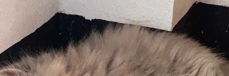 callmeeeeebb's profile banner image