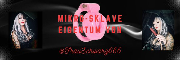 SklaveMini Profile Banner
