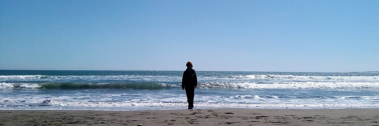 dizmart's profile banner image