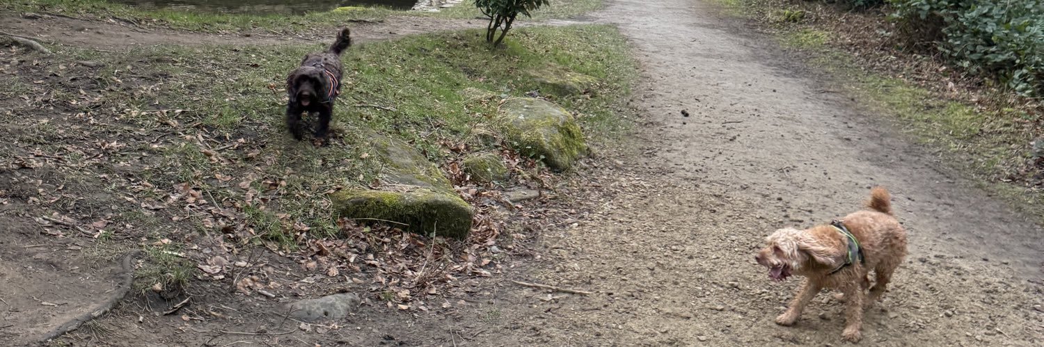 DaleBarrow2's profile banner image