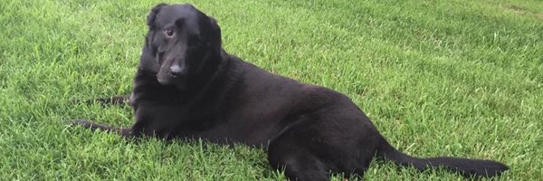 hotrod_521 Profile Banner