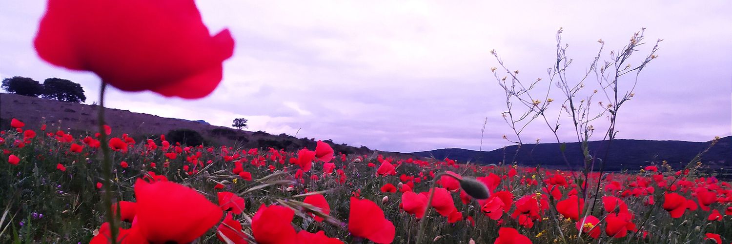 EscribirSinHacerRuido banner