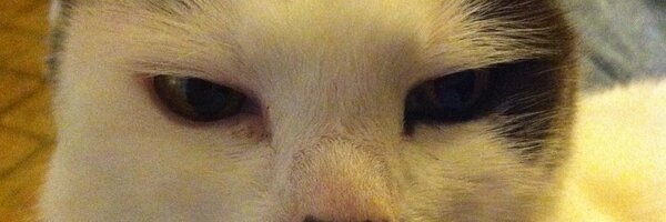 ericjlawrence Profile Banner