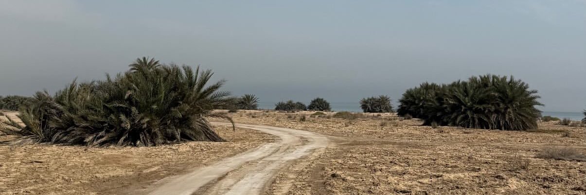 Abdullah banner