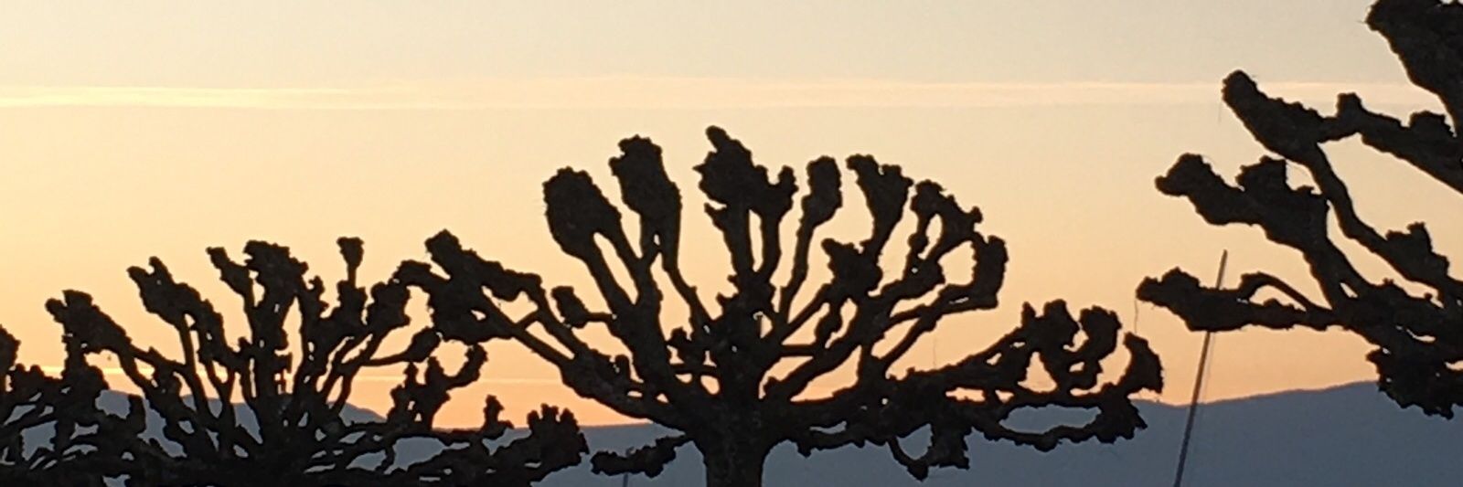 Pierre-Hugues Meyer banner