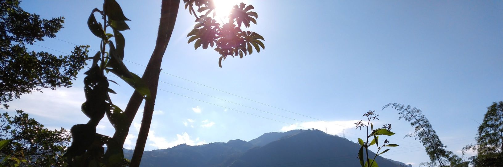PKZASNEL's profile banner image
