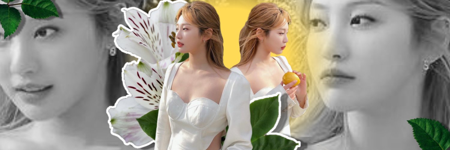 ∿⁩ ⋆ nis﹗ banner