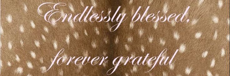 Sasha²⁸🦌 banner