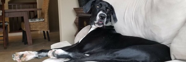 BridgetAyers Profile Banner