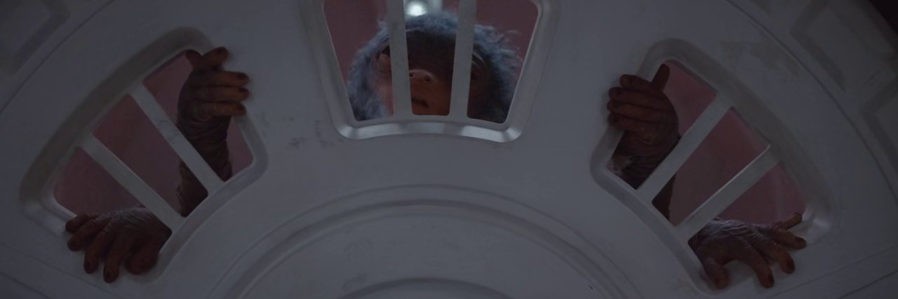 trodomir's profile banner image