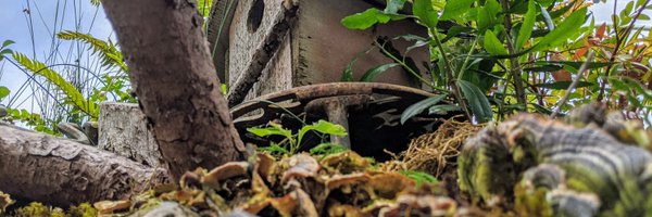 breadeagles Profile Banner