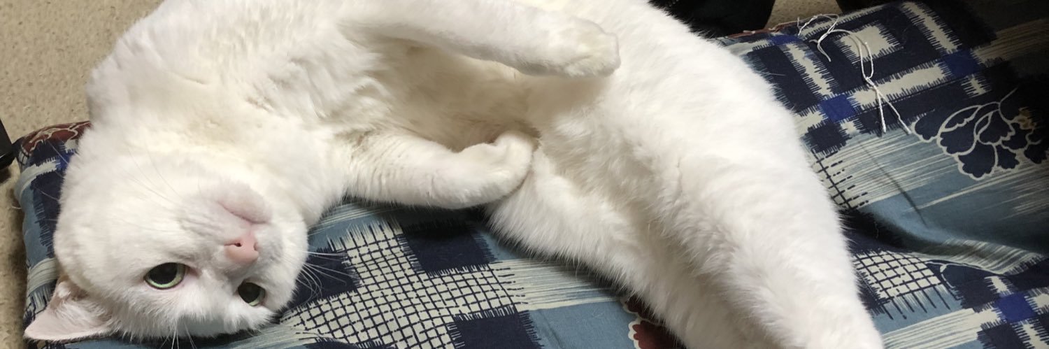 pgm_h_cate2's profile banner image