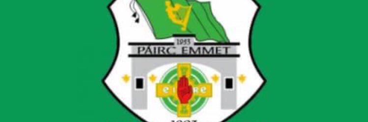 CarrickLadiesLGFA banner