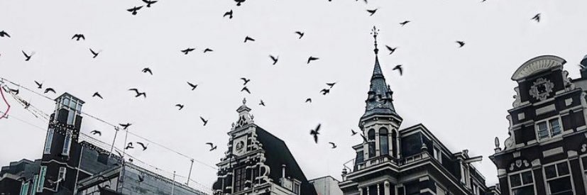 beyzacimat's profile banner image