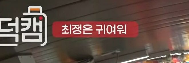 찡 banner